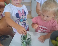 Zapasy zimowe