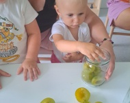 Zapasy zimowe
