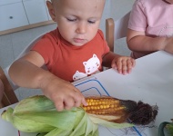 Warzywa ogródkowe