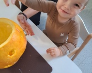 Dzień Dyni