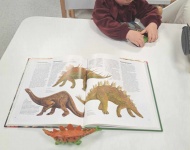 Dzień Dinozaura